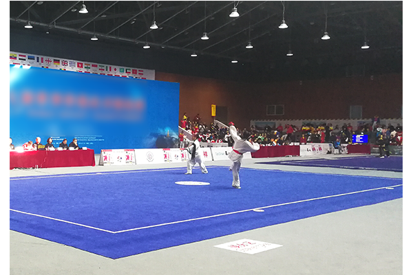青少年武术场地二
