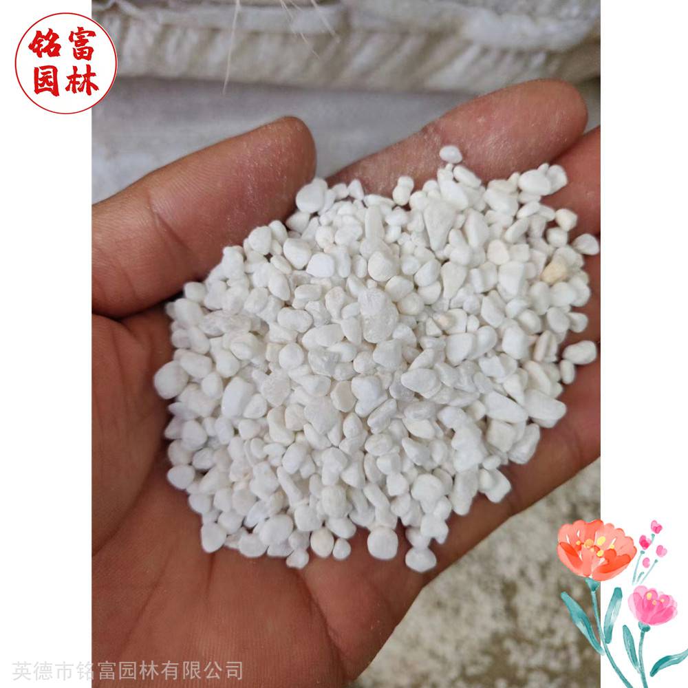 花园路径铺路石-白色鹅卵石-茂名鹅卵石厂家(图7) 花园路径铺路石-白色鹅卵石-茂名鹅卵石厂家(图7)