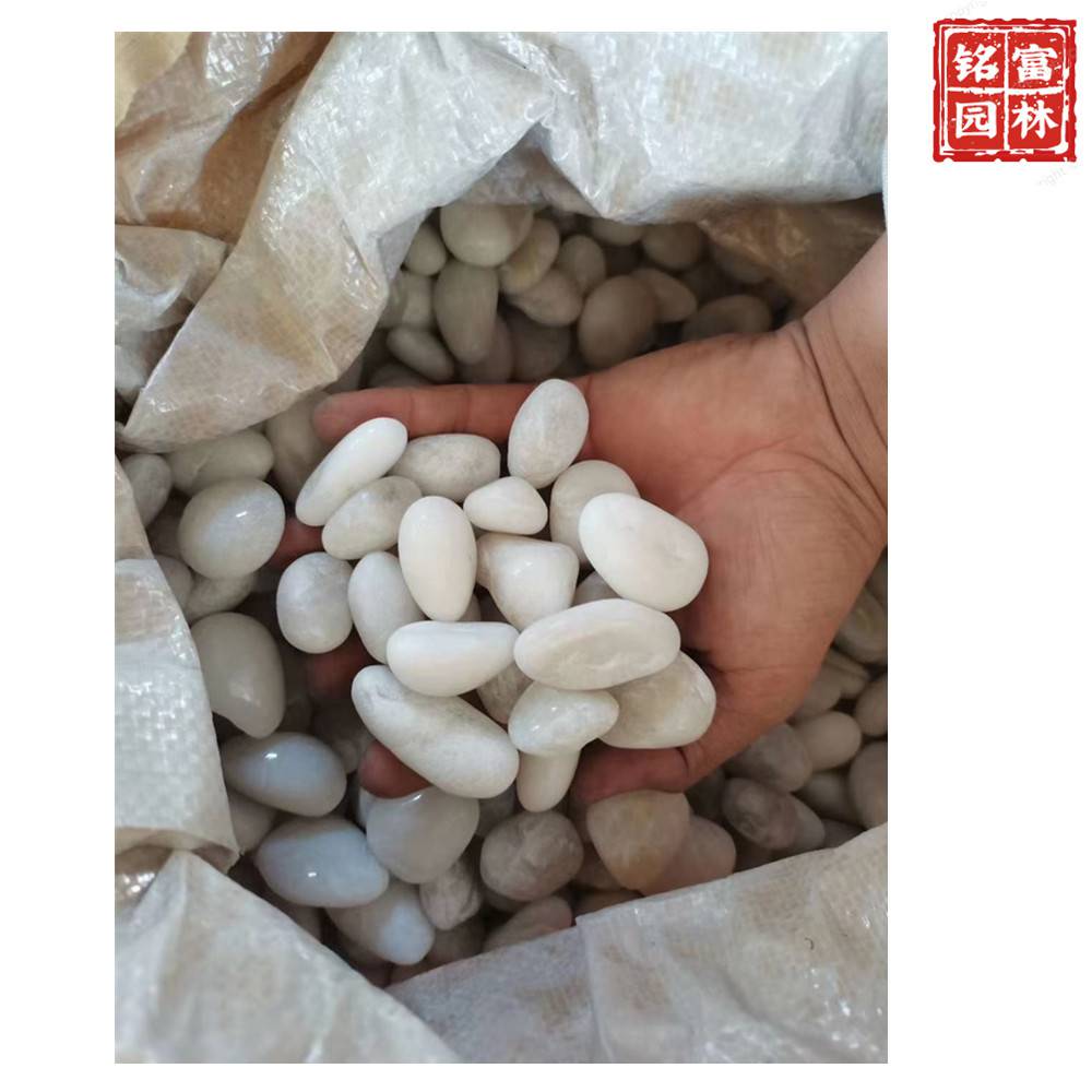 花园路径铺路石-白色鹅卵石-茂名鹅卵石厂家(图9) 花园路径铺路石-白色鹅卵石-茂名鹅卵石厂家(图9)